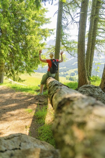 Person raises his arms next to a fallen tree trunk in the forest, Alpe di Siusi, Dolomites, South Tyrol, Italy