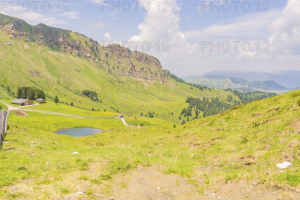 Green valley with hills and a road under a blue sky, Alpe di Siusi, Dolomites, South Tyrol, Italy