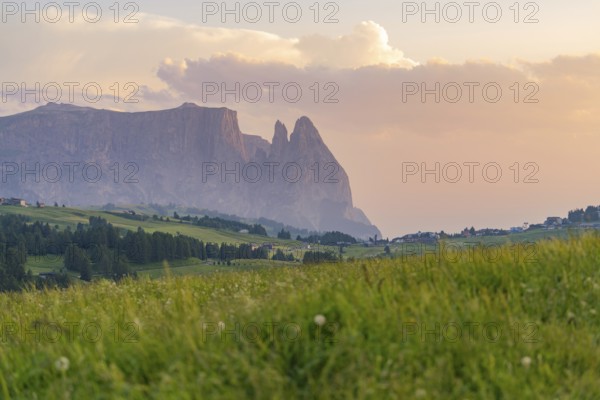 Mountain silhouettes in the evening light over a wide meadow, Alpe di Siusi, Dolomites, South Tyrol, Italy