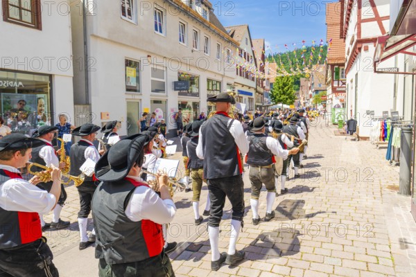 Music band in traditional costumes marching through a sunny village during a parade, 950 years Calw, parade Calw, Black Forest, Germany