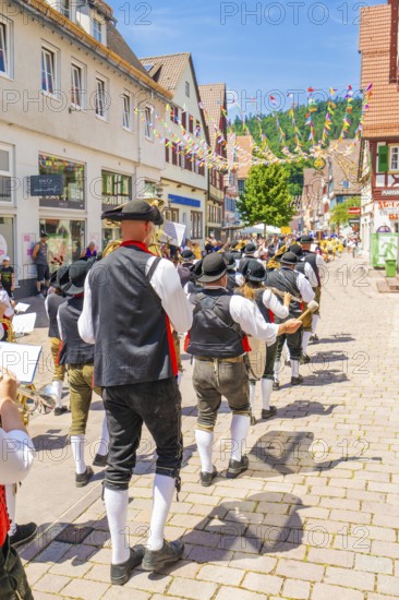Brass musicians march through a lively village street in sunny weather, 950 years of Calw, Calw parade, Black Forest, Germany