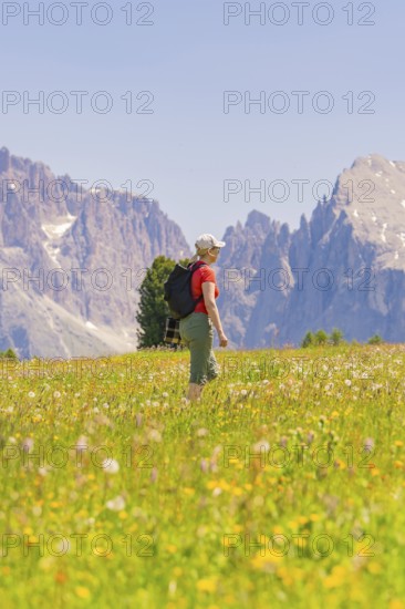 Woman with rucksack on flower-covered meadow in front of mountain scenery, Alpe di Siusi, Dolomites, South Tyrol, Italy