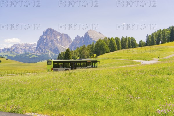 Green bus crosses the meadow landscape with mountains in the background, Alpe di Siusi, Dolomites, South Tyrol, Italy