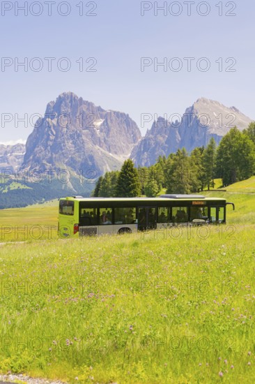 Green bus drives through green meadows in front of majestic mountains in summer, Alpe di Siusi, Dolomites, South Tyrol, Italy