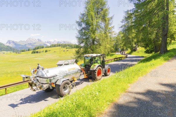 A tractor drives on a road in the middle of a green and sunny mountain landscape, Alpe di Siusi, Dolomites, South Tyrol, Italy