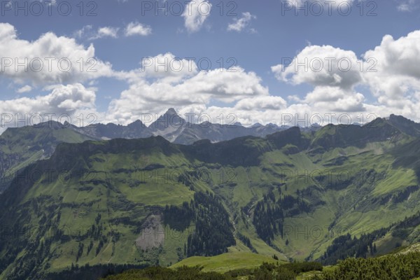 Mountain panorama from the Koblat high trail on the Nebelhorn over the Obertal valley with lush green alpine meadows to the Hochvogel and Rosszahn group with the Hochvogel, 2592m, Allgäu Alps, Allgäu, Bavaria, Germany