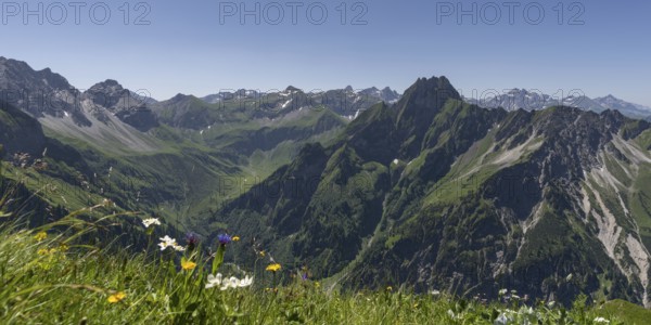 Mountain panorama with various mountain flowers from the Laufbacher-Eckweg into the rear Oytal with Käseralpe and to Höfats, 2259m, Allgäu Alps, Allgäu, Bavaria, Germany