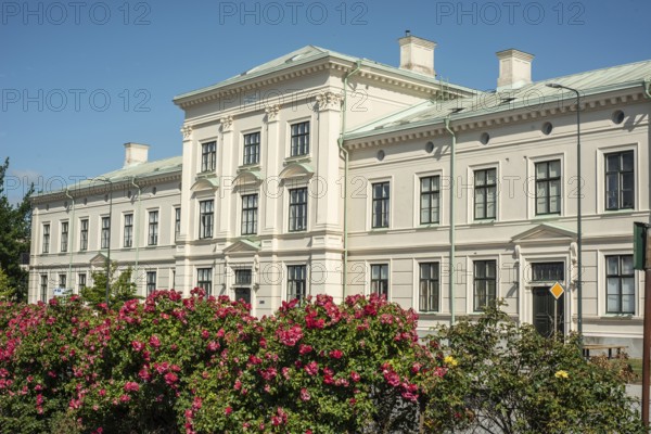 Old apartment house, built 1875, behind roses in Ystad, Skåne County, Sweden, Scandinavia