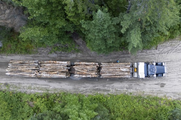 Heavy hauler transporting timber, Region of La Mauricie, Province of Quebec, Canada, North America