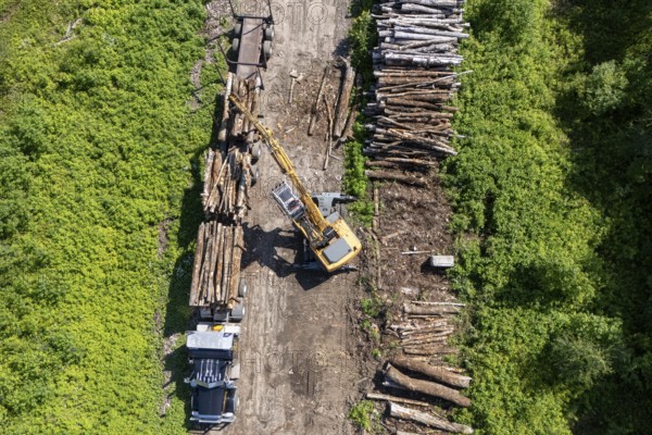 Tractor loading timber on a heavy hauler, Region of La Mauricie, Province of Quebec, Canada, North America