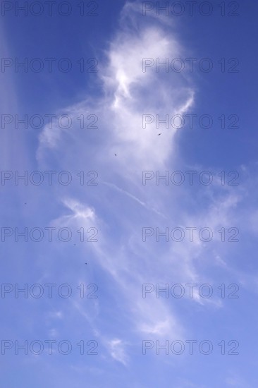 Cloudy sky in summer with birds, Germany