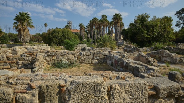 Dilapidated stone walls and ancient palm trees under a blue sky in an ancient ruins landscape, Ancient Agora, Kos Town, Kos, Dodecanese, Greek Islands, Greece