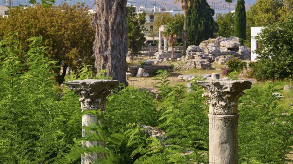 Two ornate ancient columns rise out of lush green foliage in a landscape of ruins, Ancient Agora, Kos Town, Kos, Dodecanese, Greek Islands, Greece