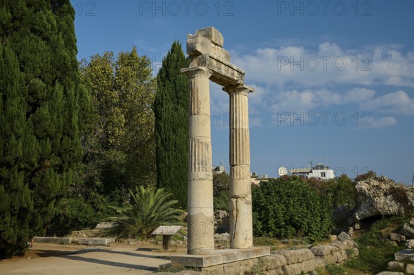 Ancient columns against a blue sky, surrounded by lush vegetation, Ancient Agora, Kos Town, Kos, Dodecanese, Greek Islands, Greece