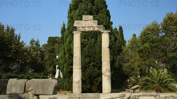 Ancient Tor tor with columns and dense green tree in the background, Ancient Agora, Kos Town, Kos, Dodecanese, Greek Islands, Greece
