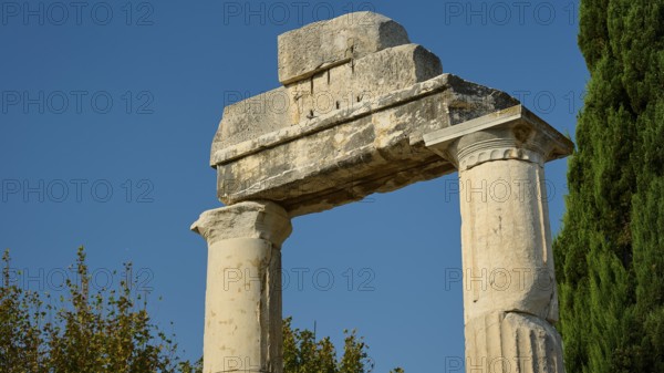 Ancient stone columns against a blue sky, surrounded by trees, Ancient Agora, Kos Town, Kos, Dodecanese, Greek Islands, Greece