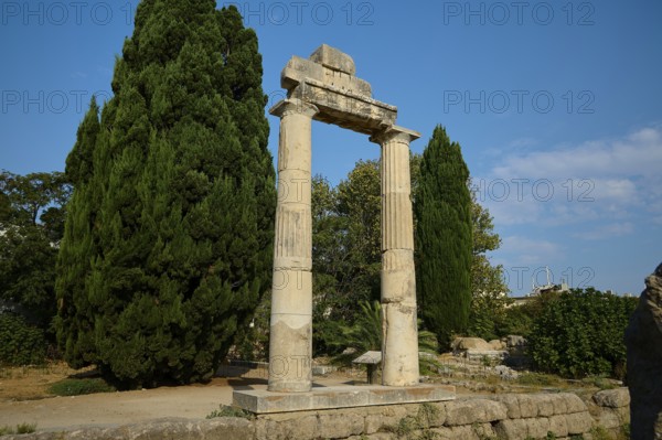 Ancient columns in a green setting with plants and play of light, Ancient Agora, Kos Town, Kos, Dodecanese, Greek Islands, Greece