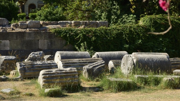 Cylindrical ancient stones lie on grassy ground surrounded by ivy, Ancient Agora, Kos Town, Kos, Dodecanese, Greek Islands, Greece