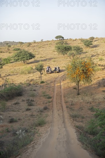 Jeeps waiting under a dune in the Thar Desert or Great Indian Desert, near Jaisalmer, Rajasthan, India