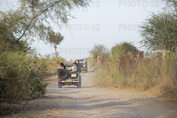 Jeeps on a sandy track in the Thar Desert or Great Indian Desert, near Jaisalmer, Rajasthan, India