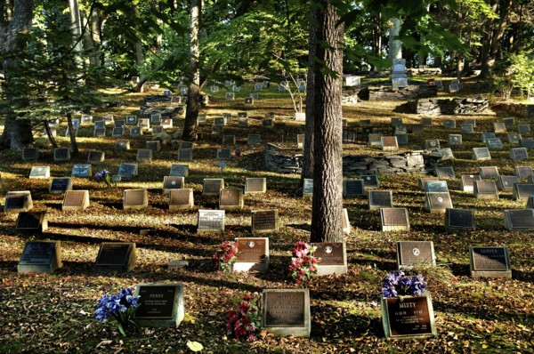 Dog cemetery, Blairstown, New Jersey, USA