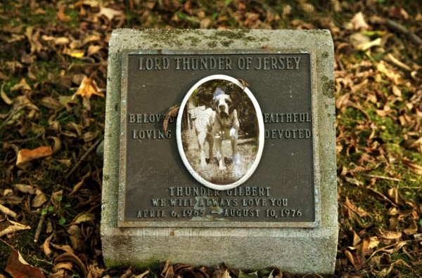 Gravestone of a dog in a dog cemetery, Blairstown, New Jersey, USA