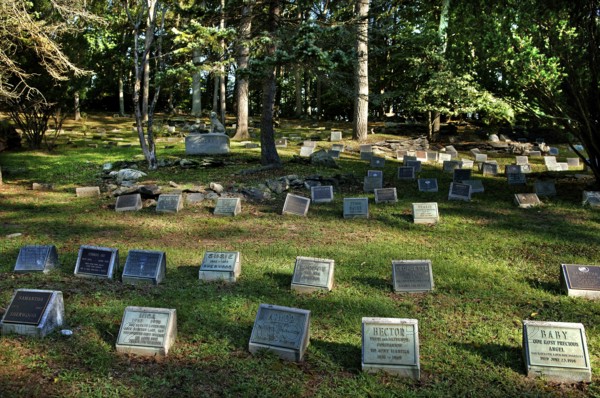 Dog cemetery in a wooded area, Blairstown, New Jersey, USA