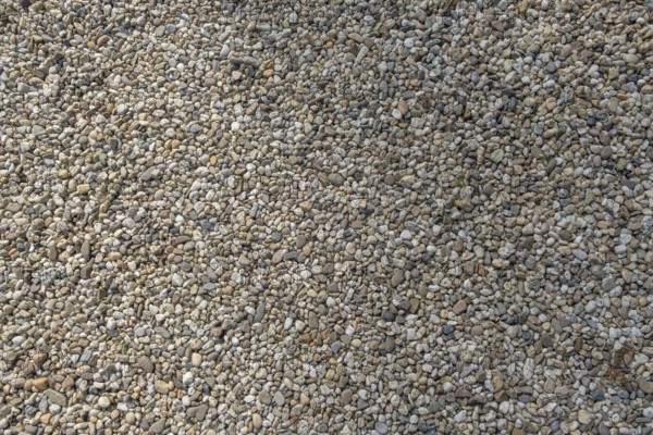 Small pebbles as garden path, background image, texture, Netherlands