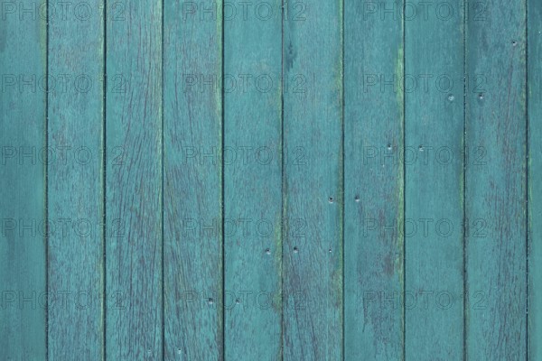 Detail of a green wooden door, background, texture, Münsterland, North Rhine-Westphalia, Germany