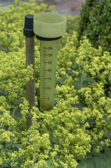 Rain gauge, precipitation gauge, Münsterland, North Rhine-Westphalia, Germany