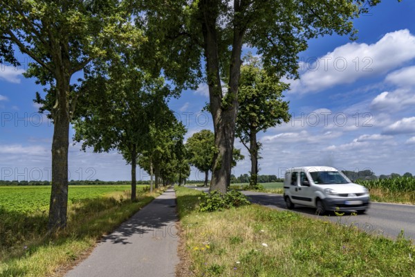 Country road south of Kampen, on the Lower Rhine, with side cycle and footpath, North Rhine-Westphalia, Germany