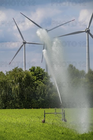 Artificial irrigation with a sprinkler system in a field where carrots are grown, wind farm, near Kerken, on the Lower Rhine, North Rhine-Westphalia, Germany