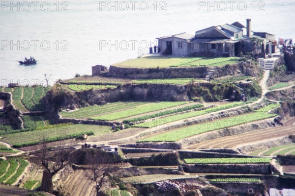 Captioned as 'Terrace farming', Pok Fu Lam, Hong Kong, Asia 1964