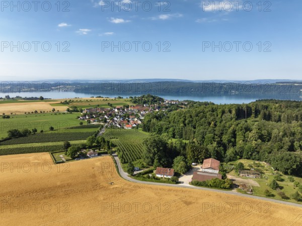 Luftbild vom Bodensee mit der Ortschaft Hödingen, umgeben von erntereifen Getreidefeldern, Überlingen, Bodenseekreis, Baden-Württemberg, Deutschland