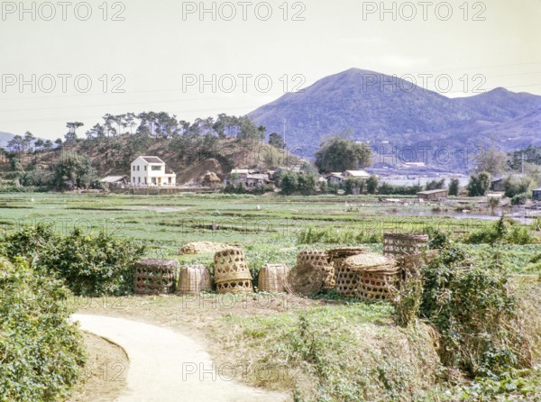 Farmland used for market gardening, Tai Po, New Territories, Hong Kong, Asia, 1964