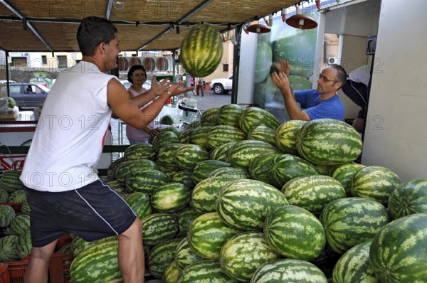 Farmers throwing watermelons (Citrullus lanatus) to each other, setting up a market stall, weekly market market, historic centre, Bracciano, metropolitan city of Rome, Lazio, Italy