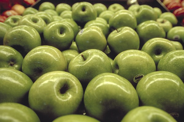Granny Smith, apples in a supermarket, New Jersey, USA