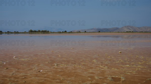 Expansive landscape with muddy shores and long stretches of water under a clear sky, salt lake, Tigaki, nature reserve, hydro biotope, Kos, Dodecanese, Greek islands, Greece
