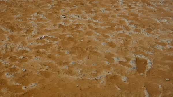 Close-up of ochre-coloured soil depicting natural patterns and textures, salt lake, Tigaki, nature reserve, hydro-biotop, Kos, Dodecanese, Greek Islands, Greece