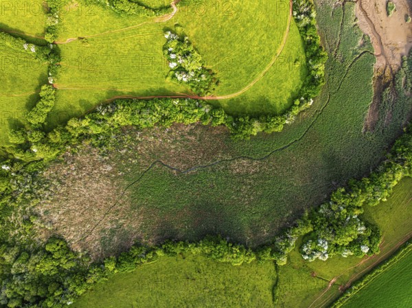 Top Down over Marshes over River Dart from a drone, Stoke Gabriel, Totnes, Devon, England, United Kingdom