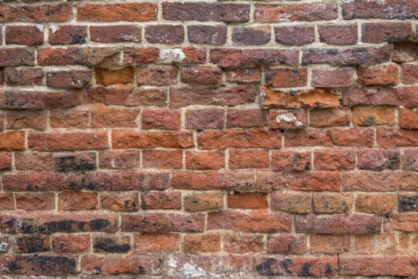 House wall, Brick wall, Brick wall, Bricks, Background, Texture, Netherlands