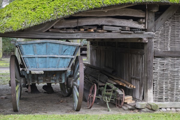 Old barn with moss-covered thatched roof, Lower Saxony, Germany