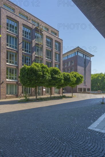 New buildings on Alte Neustadt, Willis Towers Watson, residential, offices, large windows, group of trees, brick architecture, pavement, blue sky, Hanseatic City of Bremen, Germany