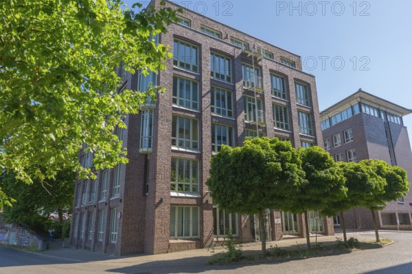 New buildings on Alte Neustadt, Willis Towers Watson, residential, offices, large windows, group of trees, brick architecture, pavement, blue sky, Hanseatic City of Bremen, Germany