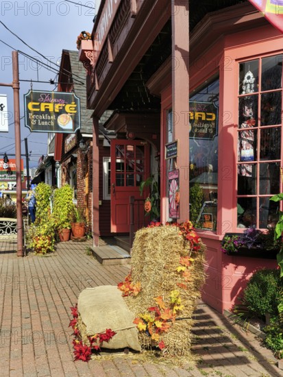 Typically decorated facades, cafe, restaurant, Thanksgiving, Halloween, main street in the village of North Conway, holiday destination, Kancamagus Highway, White Mountain, New Hampshire, New England, USA
