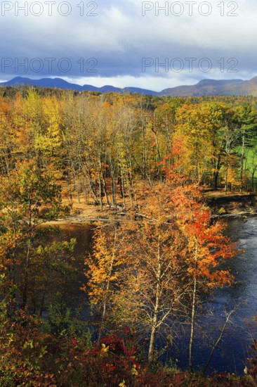 Riverbank, riverfront, Saco River in Mount Washington Valley, fall leaves, Indian summer, sunny weather, Conway, Kancamagus Highway, White Mountain, New Hampshire, New England, USA
