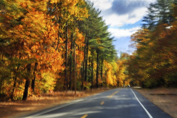 Country road through forest, fall leaves, Indian summer, sunny fall weather, smudge effect, blur, Kancamagus Highway, White Mountain, New Hampshire, New England, USA
