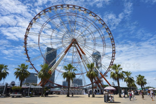 A big Ferris wheel in the municipal park with palm trees and people, bright blue sky, amusement park, Batumi, Black Sea, Ajara region, Adjara, autonomous republic, Georgia