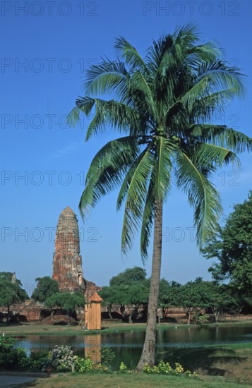 Pond, boat, palm tree, temple ruin in Ayutthaya, Thailand, December 2002, vintage, retro, old, historic