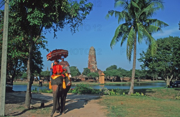 People, tourists, palm tree, temple ruins, riding on an elephant through ancient sights, Ayutthaya, Thailand, December 2002, vintage, retro, old, historical